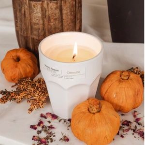 Mimi & August The Reusable Candle Pumkin